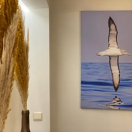 Lejlighed Tof En Ruim Op 50 Meter Strand!