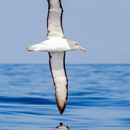 Lejlighed Tof En Ruim Op 50 Meter Strand! *