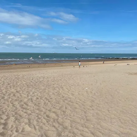 Apartament Tof En Ruim Op 50 Meter Strand!